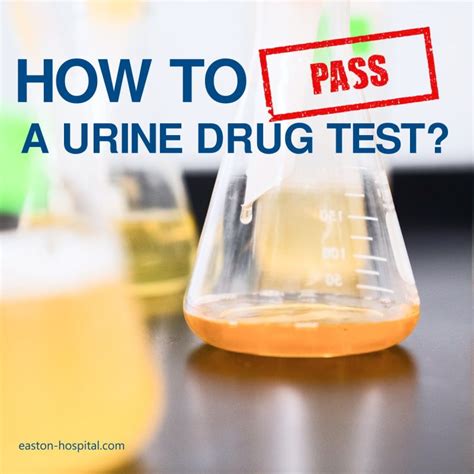 bottles to put pee in to pass a drug test|direct observation drug test hide urine.